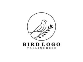 oiseau logo conception modèle vectoriel