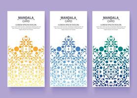 conception de carte décorative mandala coloré vecteur
