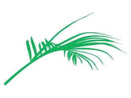 noix de coco feuille tropical feuilles illustration vecteur