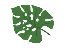 monstera vert feuilles Contexte illustration vecteur