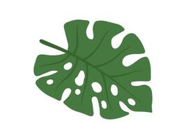 monstera vert feuilles Contexte illustration vecteur