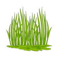 illustration de herbe vecteur