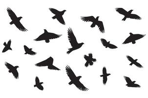 en volant des oiseaux noir silhouettes ensemble vecteur