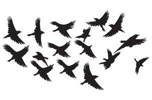 des oiseaux ensemble noir silhouette isolé vecteur
