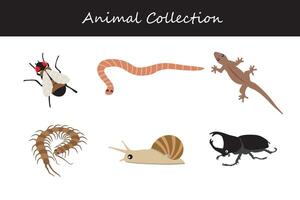 animaux collection. plat style illustration. vecteur