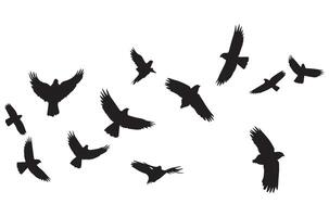 en volant des oiseaux silhouettes illustration blanc Contexte vecteur