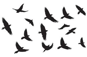 silhouettes en volant des oiseaux illustration vecteur