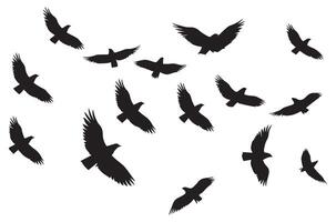 en volant des oiseaux silhouettes illustration blanc Contexte vecteur