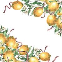 Cadre de Jaune citrons, feuilles, fleurs et Bourgogne soie rubans. isolé aquarelle illustration dans ancien style. Fait main composition pour décoration de cartes, mariage conception, faire-part, textile vecteur