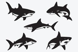 requin plat icône animal logo silhouette collection ensemble vecteur