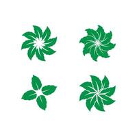 menthe feuille logo modèle symbole conception vecteur