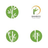 bambou logo avec vert feuille icône modèle vecteur