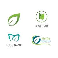 menthe feuille logo modèle symbole conception vecteur