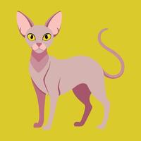 sphynx chat dessin animé animal illustration vecteur