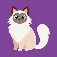 ragdoll chat dessin animé animal illustration vecteur