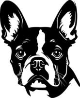 Boston terrier, noir et blanc illustration vecteur