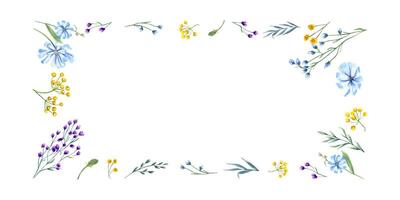 Prairie épanouissement les plantes. fleurs sauvages composition. jaune, bleu fleurs. printemps, été verdure. longue horizontal Cadre. copie espace pour texte. aquarelle illustration pour anniversaire, mariage. vecteur