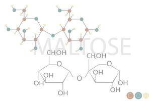 maltose moléculaire squelettique chimique formule vecteur