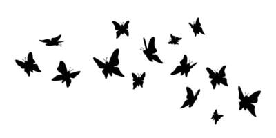 papillons silhouette conception. beauté insecte signe et symbole. vecteur