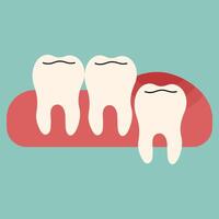 sagesse les dents Célibataire mignonne sur une bleu vert arrière-plan, illustration. vecteur