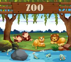 Singe et lion au zoo vecteur