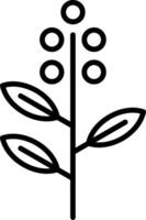 eucalyptus ligne icône vecteur