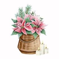 rose poinsettia Noël fleurs dans métal pot avec brûlant bougies et arbre branches aquarelle illustration vecteur