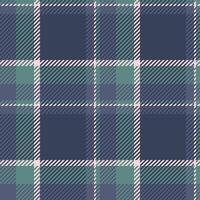 textile conception de texturé plaid. à carreaux en tissu modèle échantillon pour chemise, robe, costume, emballage papier imprimer, invitation et cadeau carte. vecteur