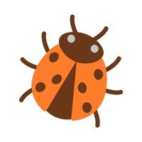 coccinelle. insecte. illustration sur une blanc Contexte. vecteur