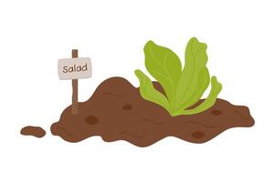 semis. croissance les plantes. salade grandit en dehors de le sol. plantation les plantes. vecteur