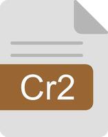 cr2 fichier format plat icône vecteur