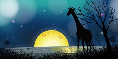 Scène de fond avec silhouette girafe dans la nuit vecteur