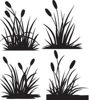 silhouette roseau plante image vecteur
