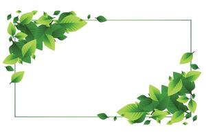 à base de plantes et Frais vert feuilles Cadre avec texte espace conception vecteur