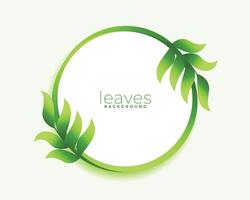 éco amical vert feuilles circulaire Cadre avec texte espace vecteur