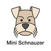 icône de couleur de schnauzer nain. zwergschnauzer. illustration vectorielle isolée vecteur