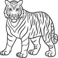 tigre coloration pages. tigre ligne art pour coloration pages. tigre contour vecteur