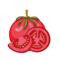 Frais rouge tomate et tranche tomates.biologiques aliments. en vigueur pour ketchup, jus publicité. pouvez être utilisé pour menu, emballage, textiles. illustration vecteur