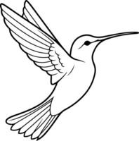 illustration silhouette de colibri vecteur