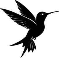 colibri silhouette noir illustration vecteur