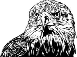 américain chauve Aigle noir et blanc illustration vecteur