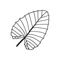 croquis de feuille d'oreille tropicale élégante dans un style d'art en ligne. plante de jungle de contour de griffonnage vecteur