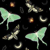 sans couture modèle avec haute détaillé lune papillon, achérontie et lucioles vecteur