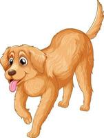 Caricature de chien golden retriever sur fond blanc vecteur