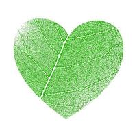 icône de vecteur vert avec forme de coeur et deux feuilles. élément pour la conception, les concepts d'écologie, de végétalien, de santé à base de plantes ou de conservation de la nature.
