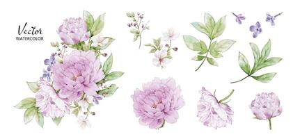 ensemble de aquarelle bouquets avec pivoine fleur éléments vecteur