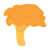 chanterelle illustration. comestible chanterelle champignons. Jaune champignon. main tiré branché plat style. griffonnage l'automne forêt récolte vecteur