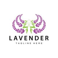 lavande logo Facile conception cosmétique plante violet Couleur et aromathérapie lavande fleur jardin modèle vecteur