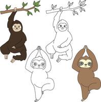 la paresse clipart. sauvage animaux clipart collection pour les amoureux de jungles et faune. cette ensemble volonté être une parfait une addition à votre safari et sur le thème du zoo projets. vecteur