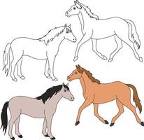 cheval clipart. sauvage animaux clipart collection pour les amoureux de jungles et faune. cette ensemble volonté être une parfait une addition à votre safari et sur le thème du zoo projets. vecteur